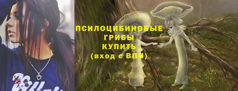 Псилоцибиновые грибы MAGIC MUSHROOMS  МЕГА как зайти  Спасск-Рязанский 